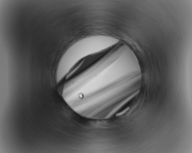 X0000094330517200711161952