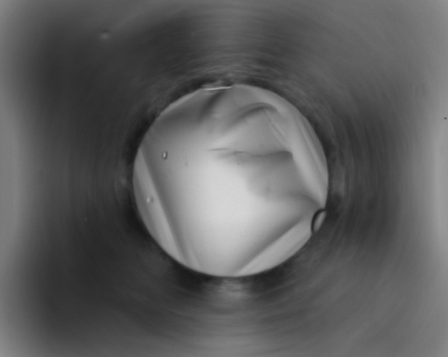 X0000094330518200711161952