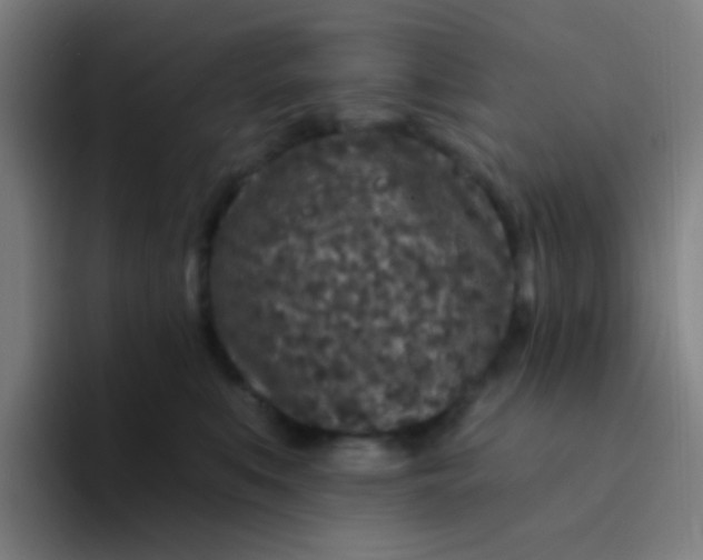X0000094330519200711161952