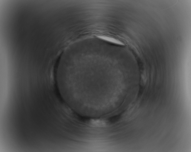 X0000094330520200711161952