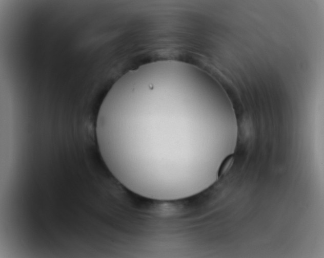 X0000094330522200711161952