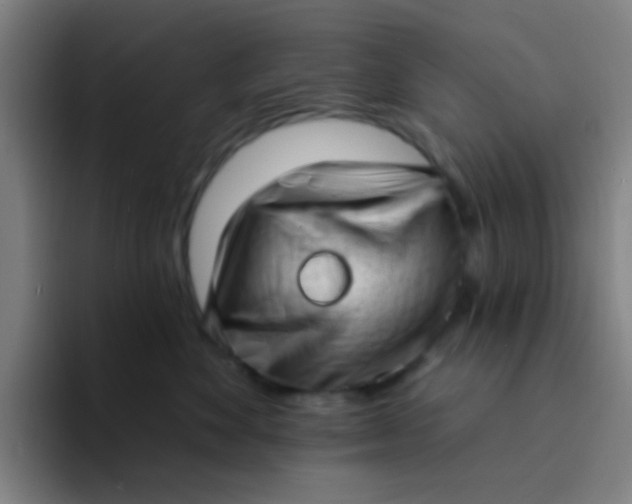 X0000094330524200711161952