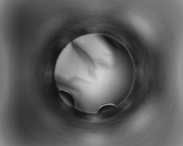 X0000094330525200711161952
