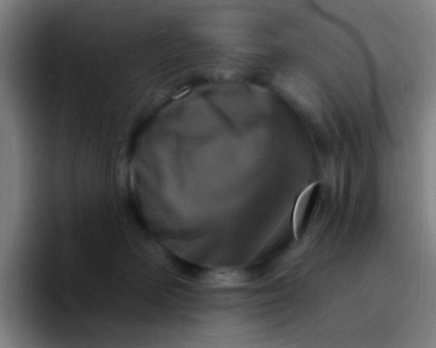 X0000094330526200711161952