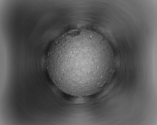 X0000094330527200711161952