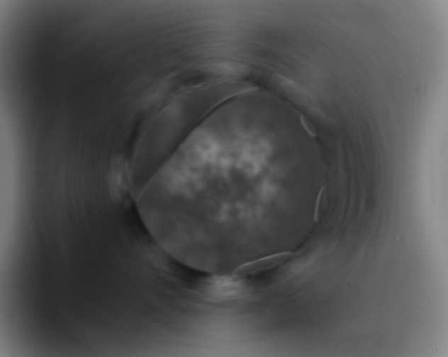 X0000094330528200711161952