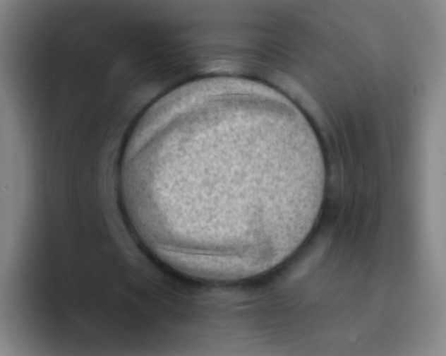 X0000094330529200711161951