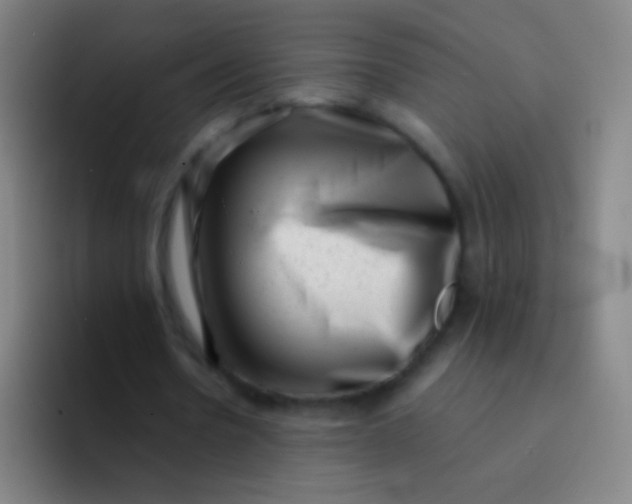 X0000094330530200711161951