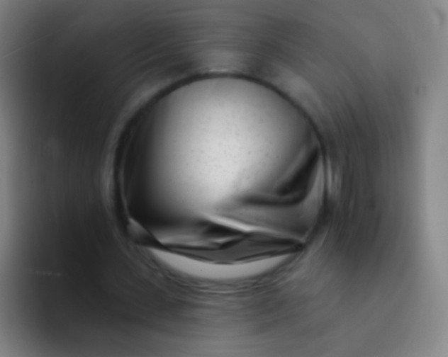 X0000094330531200711161951