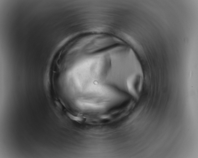X0000094330532200711161951