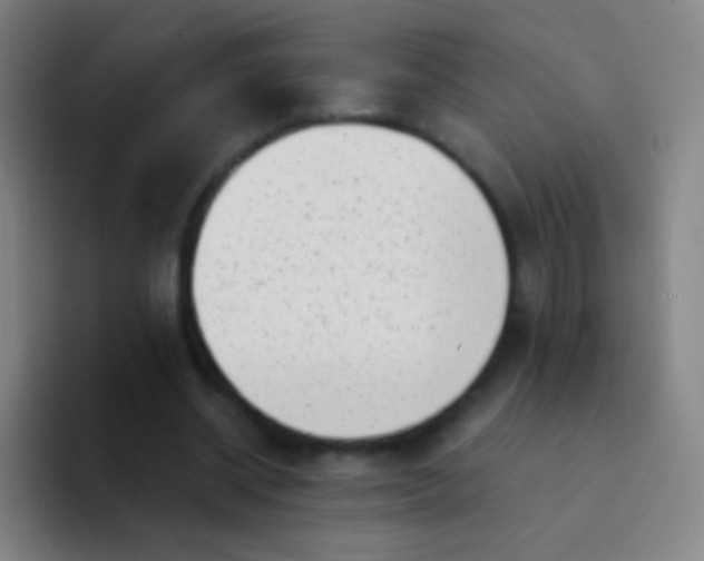 X0000094330534200711161952