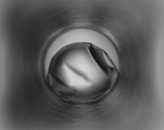 X0000094330535200711161952
