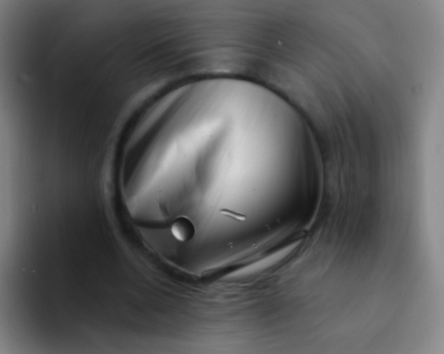X0000094330536200711161952