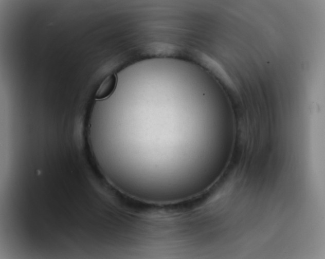 X0000094330538200711161952
