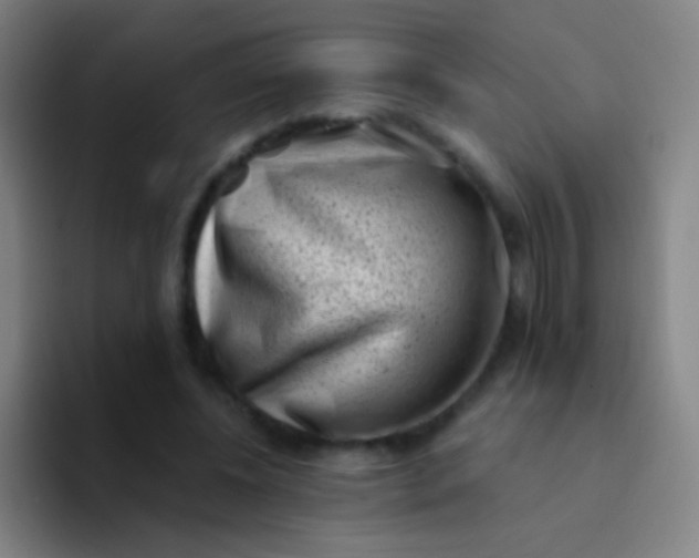 X0000094330540200711161952