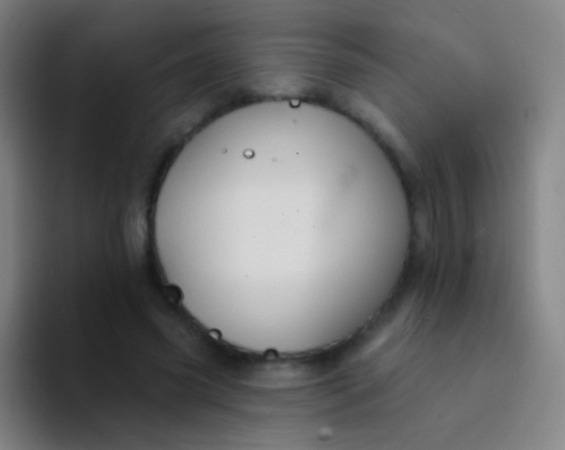 X0000094330541200711161952