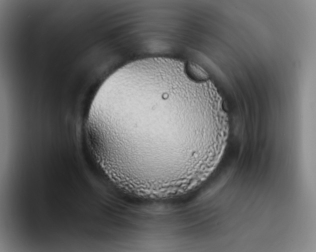X0000094330542200711161952