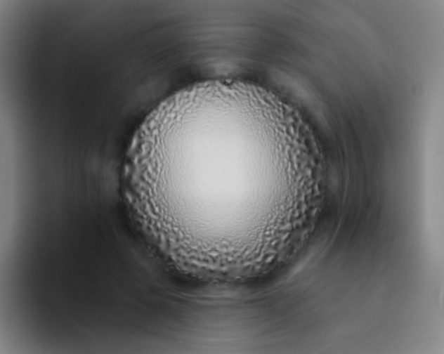X0000094330545200711161952