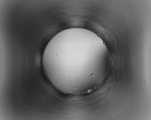 X0000094330550200711161952