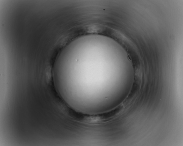 X0000094330554200711161952