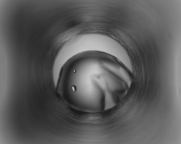 X0000094330555200711161952
