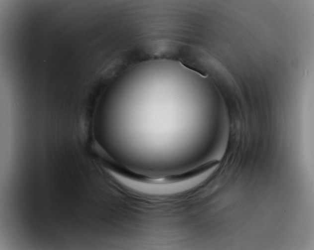 X0000094330558200711161952