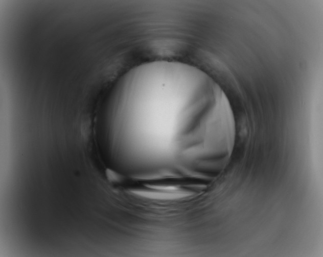 X0000094330559200711161952
