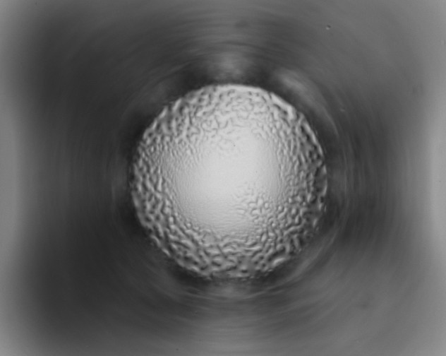 X0000094330561200711161952