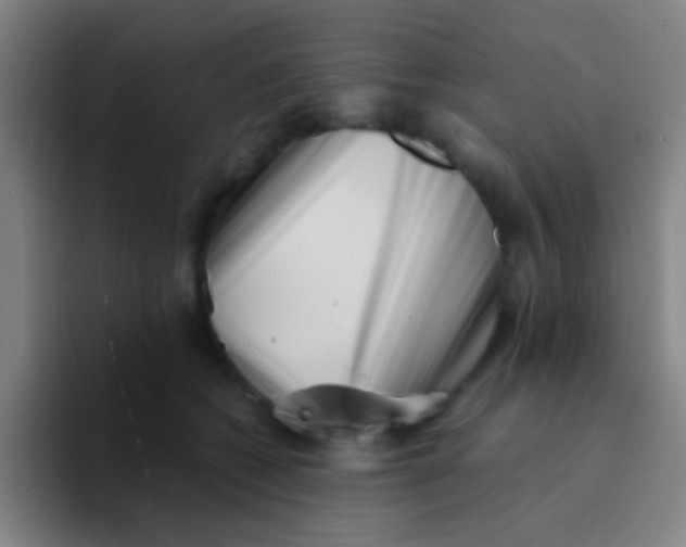X0000094330562200711161952