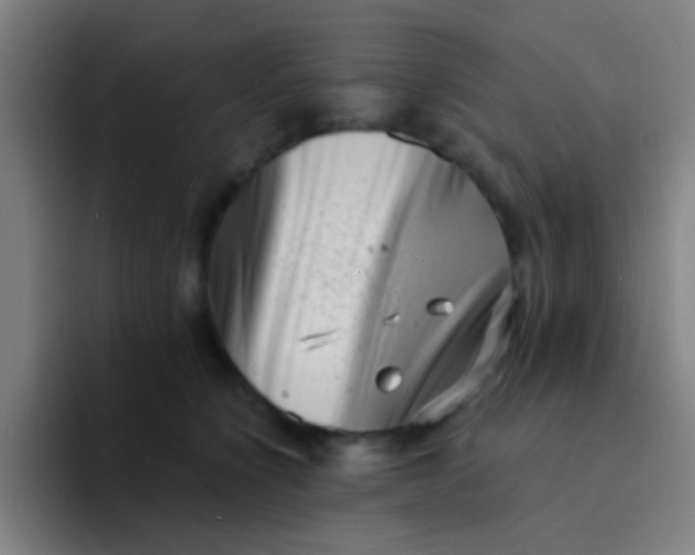 X0000094330564200711161952