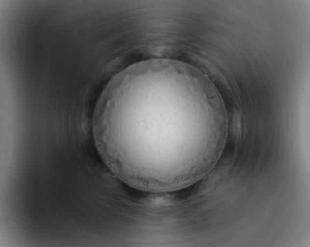 X0000094330569200711161952