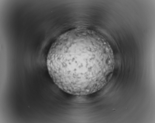 X0000094330573200711161952