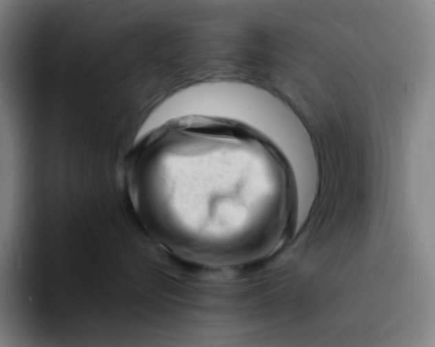 X0000094330576200711161952