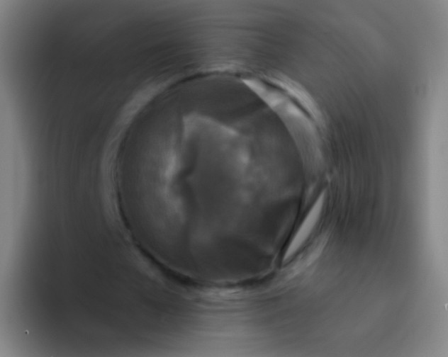 X0000094330577200711161951