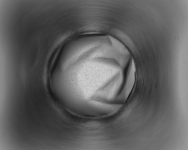 X0000094330578200711161951