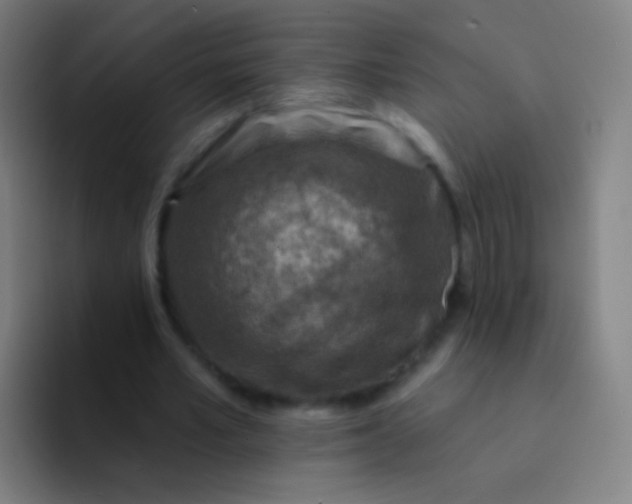 X0000094330581200711161951