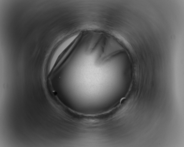 X0000094330582200711161951