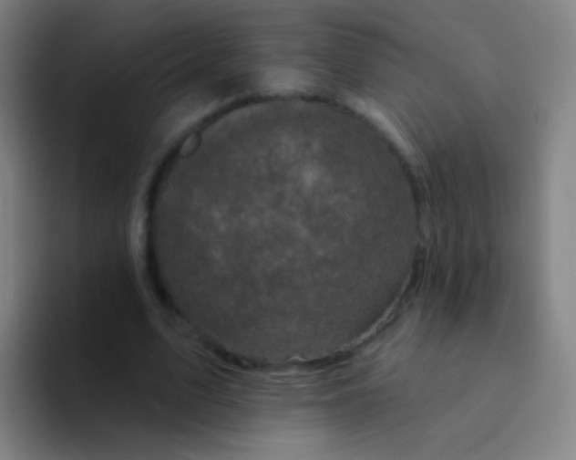 X0000094330583200711161951