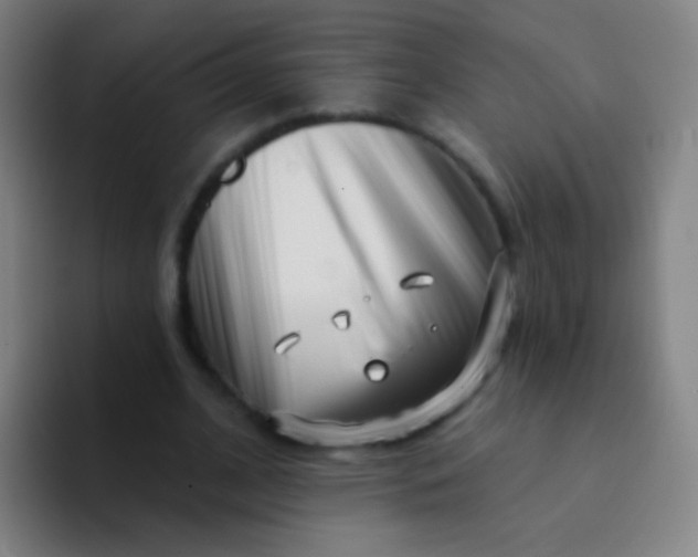 X0000094330584200711161951