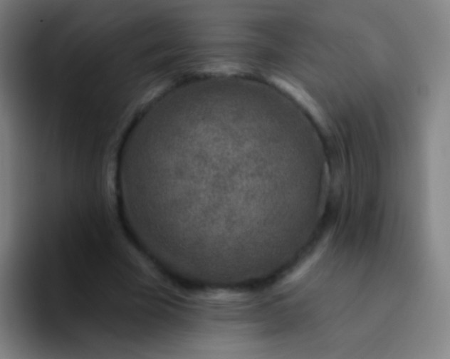 X0000094330585200711161951