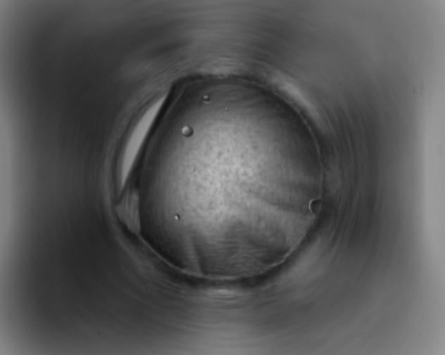 X0000094330586200711161951