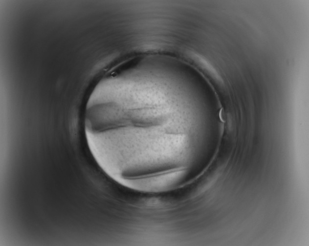 X0000094330588200711161951