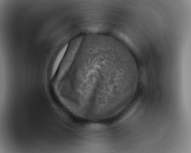 X0000094330590200711161951