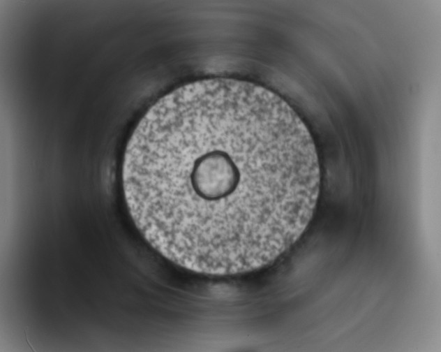 X0000094330592200711161951