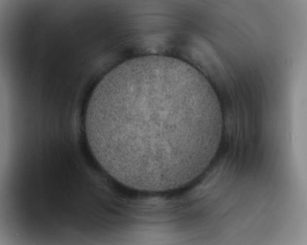 X0000094330594200711161951