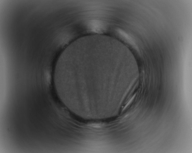 X0000094330595200711161951