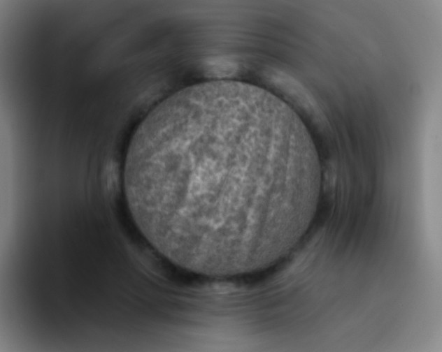 X0000094330598200711161951