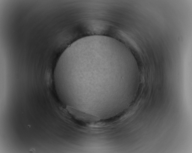X0000094330599200711161951