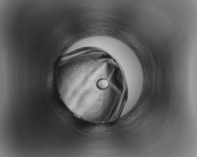 X0000094330600200711161951