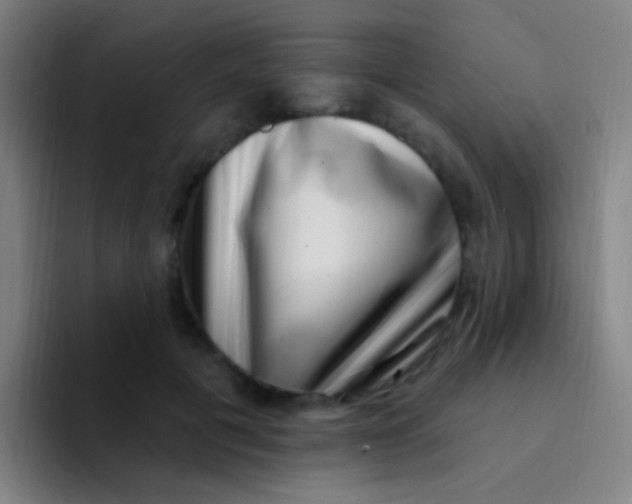 X0000094330601200711161951